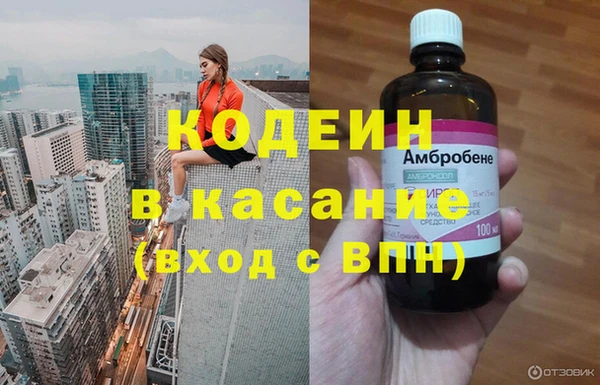 прущие грибы Богородск