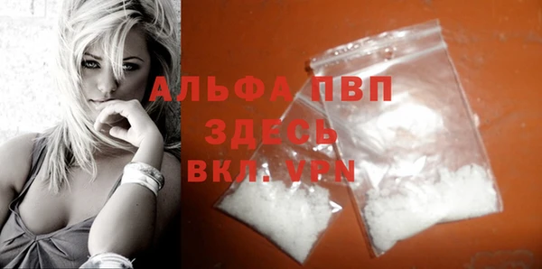 прущие грибы Богородск