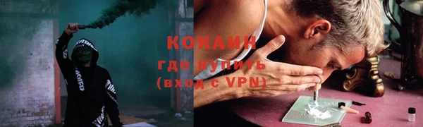 винт Богданович
