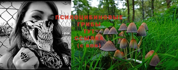 винт Богданович
