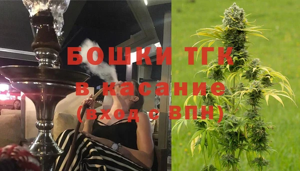 винт Сосновый Бор