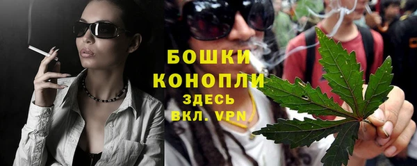 прущие грибы Богородск