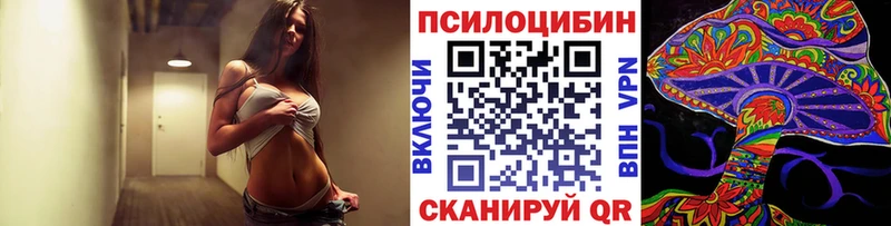 наркотики  Качканар  дарк нет как зайти  Псилоцибиновые грибы Psilocybine cubensis 